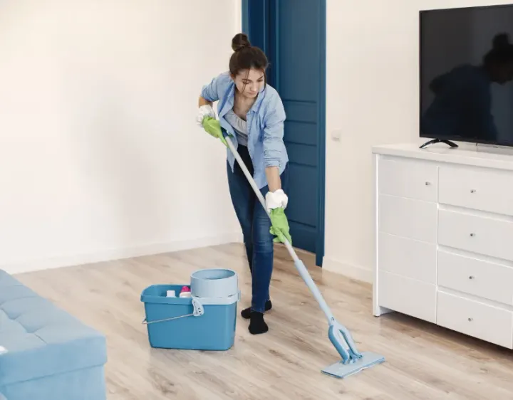 Femme de ménage Chamboulive